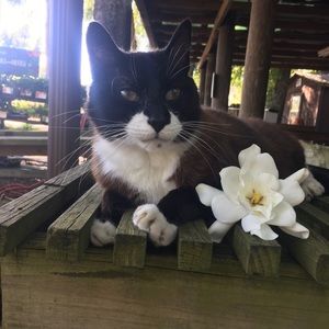 Meet your Posher, Callie